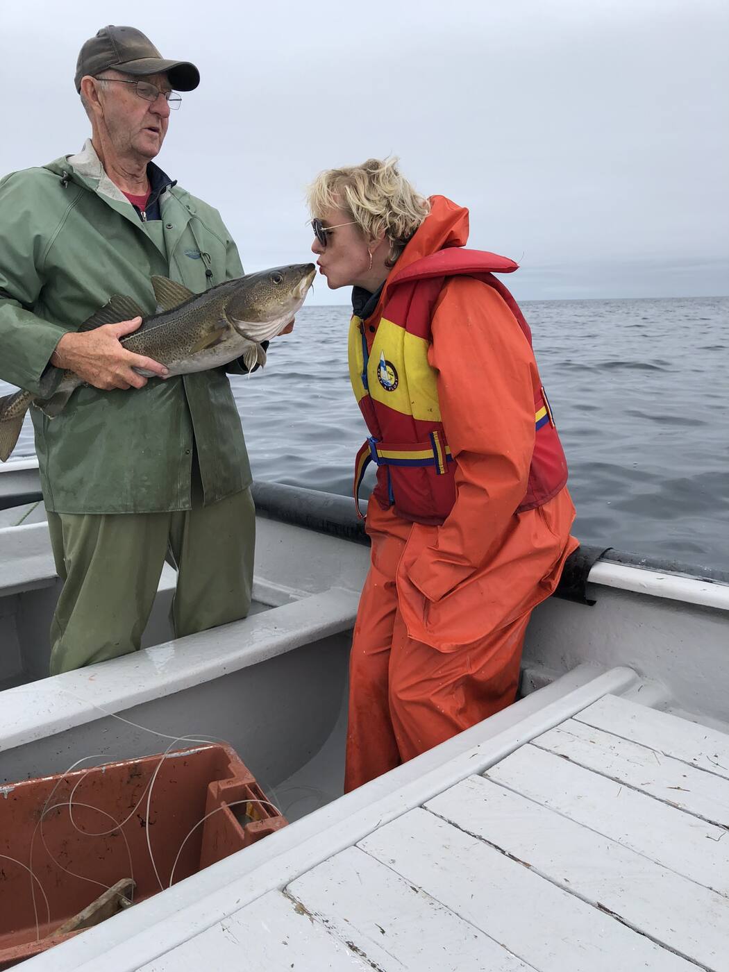 A cod from a cold northern sea